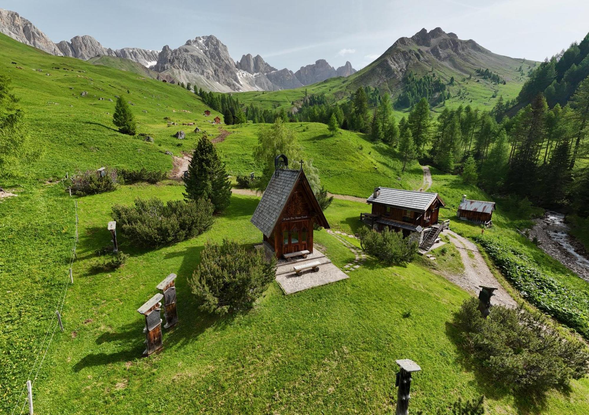 מלון פאסו סן פלגרינו Rifugio Flora Alpina מראה חיצוני תמונה